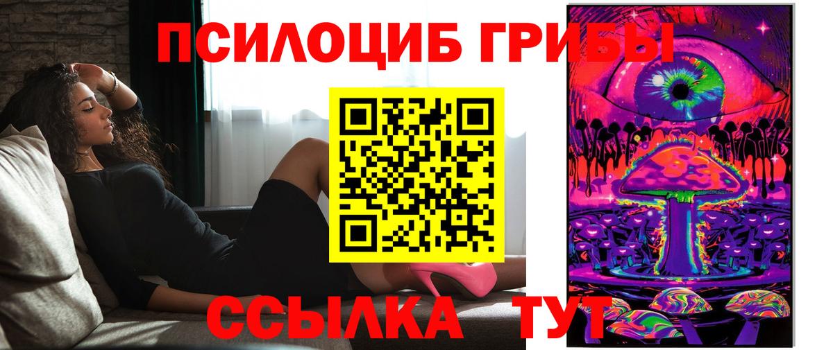 Петропавловск-Камчатский  Псилоцибиновые грибы ЛСД  Псилоцибиновые грибы MAGIC MUSHROOMS  закладки  Вход с VPN 