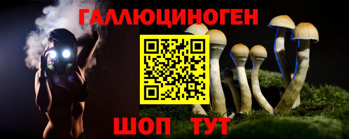 Псилоцибиновые грибы мицелий Петропавловск-Камчатский